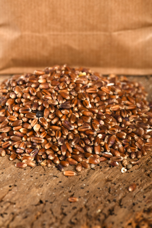 Rotkornweizen ganzes Korn (1kg)-780