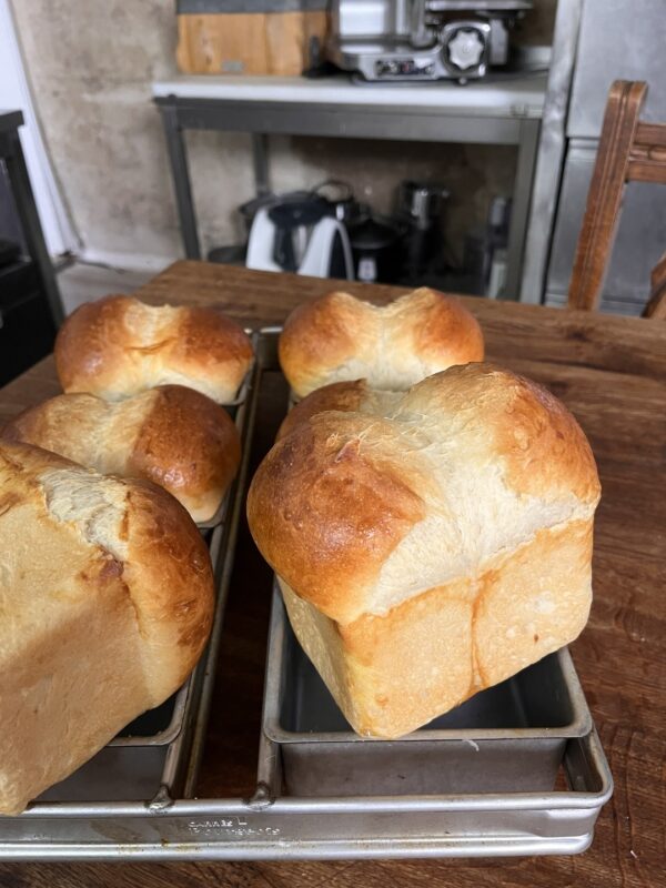 Premium Toast-Brot